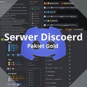 Serwer Discord na zamówienie - Pakiet Gold