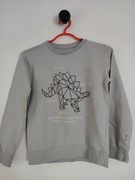 Bluza z dinozaurem 5.10.15 rozmiar 128/134