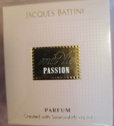 Jacques Battini ma vie passion