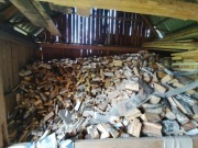 Drewno opałowe, brzoza