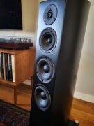 Kolumny głośnikowe Gato Audio FM-50 MK2