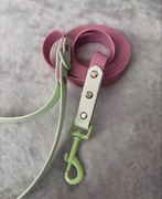 Wodoodporna smycz dla psa 3m różowa lawenda pastelowa miętowa kolorowa hexa