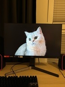 Monitor iiyama G-Master GB2470HSU 165Hz IPS | 0.8ms