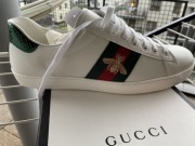 Nowe Gucci Ace z pszczołą 45