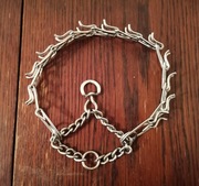 Kolczatka, Taśma treningowa ,Obroża, Smycz taśmowa flexi