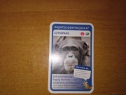 Najinteligentniejsze Szympans nr 47 Super Zwierzaki Biedronka