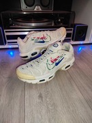 Nike Air Max Plus Multi-Swoosh White