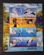 Polskie ptaki , bl.352