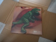 kukon winyl rough n' gentle. Nowy winyl