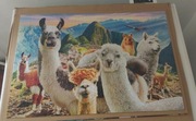 Puzzle lama selfie alpaki lamy 1000 elementów