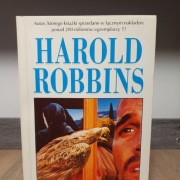 Kamień dla Danny Fishera (Harold Robbins) Dramat/Sensacja