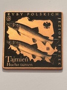 Ryba tajmień. Klipa 35 X 35 mm. 2013 Gyges