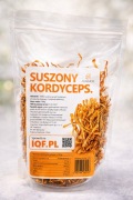 Grzyb Cordyceps militaris 100 g x 80 szt. suszony hurt grzyby kordyceps 