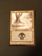 Swamp (Odyssey - Magic the Gathering)