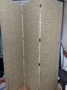 Parawan wylicytowany na WOŚP