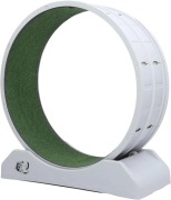 Bieżnia Dla Kota 80 cm Koło Dla Kota Bezpieczny Trening  dla kotów 