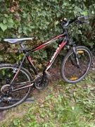 Rower Giant rama L - Warszawa