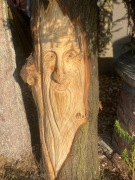 Rzeźba ogrodowa, twarz starca w drewnie lipowym.