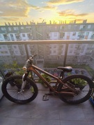 ROWER DIRT "ROSE THE BRUCE" (doinwestowany)