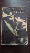 Zioła K.Mikołajczyk A.Wierzbicki