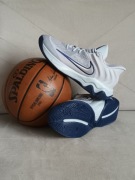 buty do koszykówki Nike Giannis Immortality 4 rozmiar 44 jordan luka