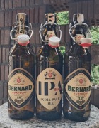 Hermetyczne brązowe butelki z klipsem po piwie czeskiego browaru Bernard