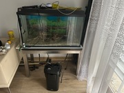 Akwarium 200l o wymiarach 100x55x45