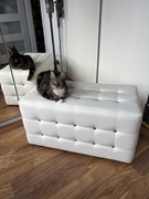 Pufa glamour biała skórzana pikowana diamenciki ławka Modo duża