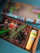 ANIMAL Projektor - latarka INSEKTY + 8 figurek insektów pająk