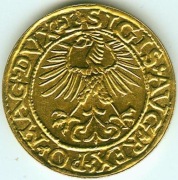 e-dukat SIGIS AVG 27 mm