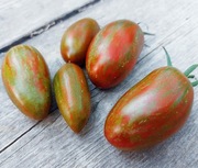 Pomidor Dwarf Audrey's Love nasiona kolekcjonerskie