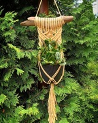 Kwietnik na ścianę 