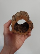 Grota, tuba dębu korkowego - idealna kryjówka do małego terra