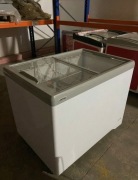 Zamrażarka Hiron SD-310E