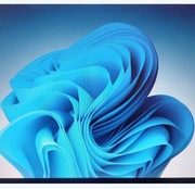 Używany HP 6710b z Windows 11 Home , Dysk HDD 320 GB Opis