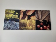 FOTO-OBRAZ na płótnie 200 x 90 cm