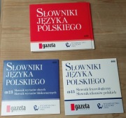 Słowniki j. polskiego PWN