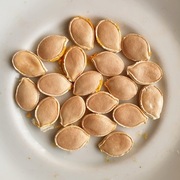 dynia hokkaido nasiona ziarna - 20 nasion