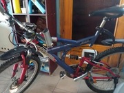 Rower górski HORIZON