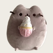 Pusheen z lodem babeczką 