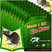 LEP NA MYSZY SZCZURY PUŁAPKA 60x ŁAPKA MYSZOŁAPKA SILNY MOCNY KLEJ AROMAT