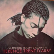 Terence Trent D'Arby Introducing Hardline