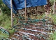 Zabytkowy kultywator konny