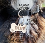 Identyfikatory, adresówki, lokalizatory pies kot #MiszMówiszMasz