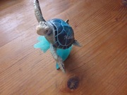 Figurka żółw Maldives