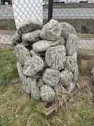 ŁUPEK DRZEWIASTY Gnejs Skała do Akwarium Malawi