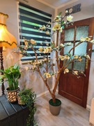 Magnolia Sztuczne Drzewko Na Prawdziwym Pniu 180 cm  MOŻLIWOŚĆ WYSYŁKI 