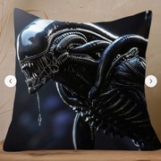 poszewka na poduszkę