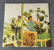 The Do - A Mouthful - Winyl - NOWY