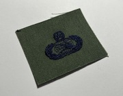 Naszywka - USAF - Master Communications and Information Badge